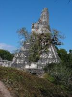 7874 Tikal